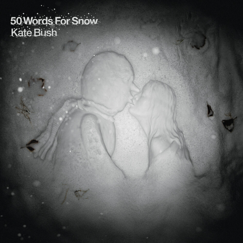 Kate Bush 50 Words For Snow CD