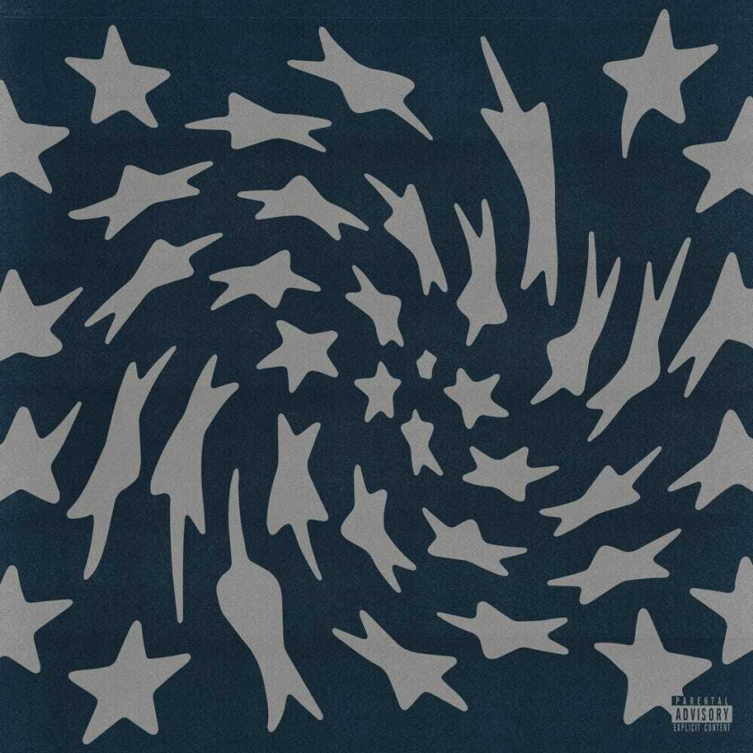 Toro Y Moi Hole Erth LP/Vinyl