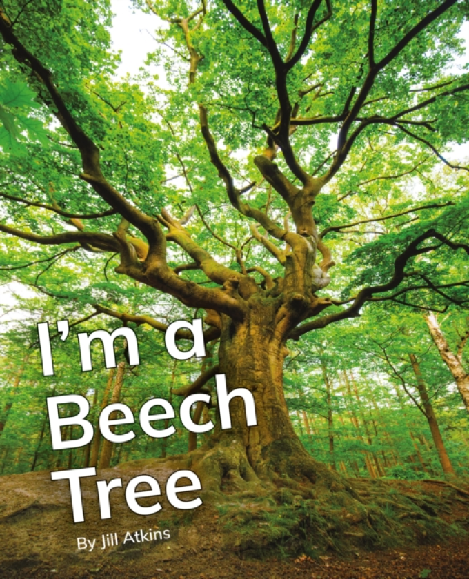 I'm a Beech Tree Phonics Phase 5