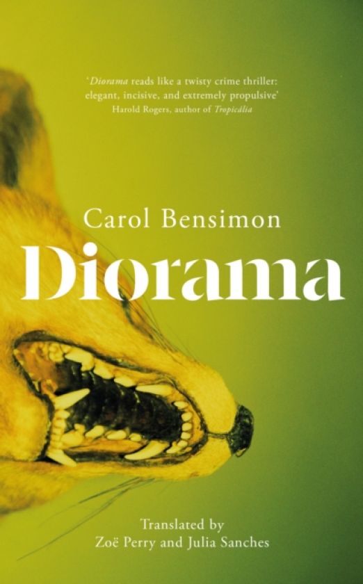 Diorama an engrossing suspense novel set in 1980s Brazil