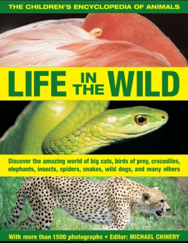 The Children's Encyclopedia of Animals: Life in the Wild Discover the Amazing World of Big Cats, Birds of Prey, Crocodiles, Elephants, Insects, Spiders, Snakes, Wild Dogs, and Many Others