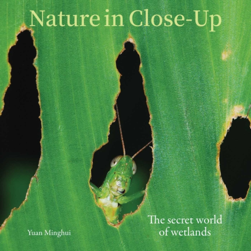 Nature in CloseUp