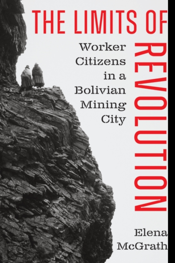 The Limits of Revolution Worker Citizens in a Bolivian Mining City