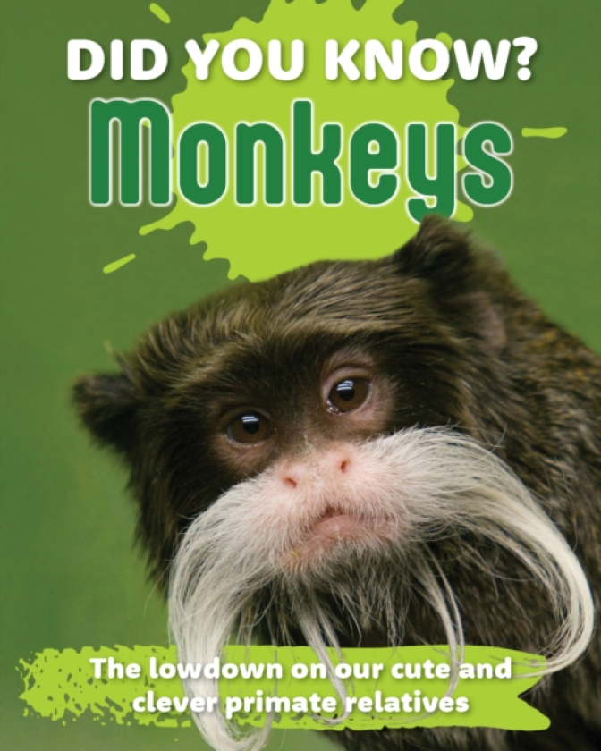 Did You Know? Monkeys The lowdown on our cute and clever primate relatives