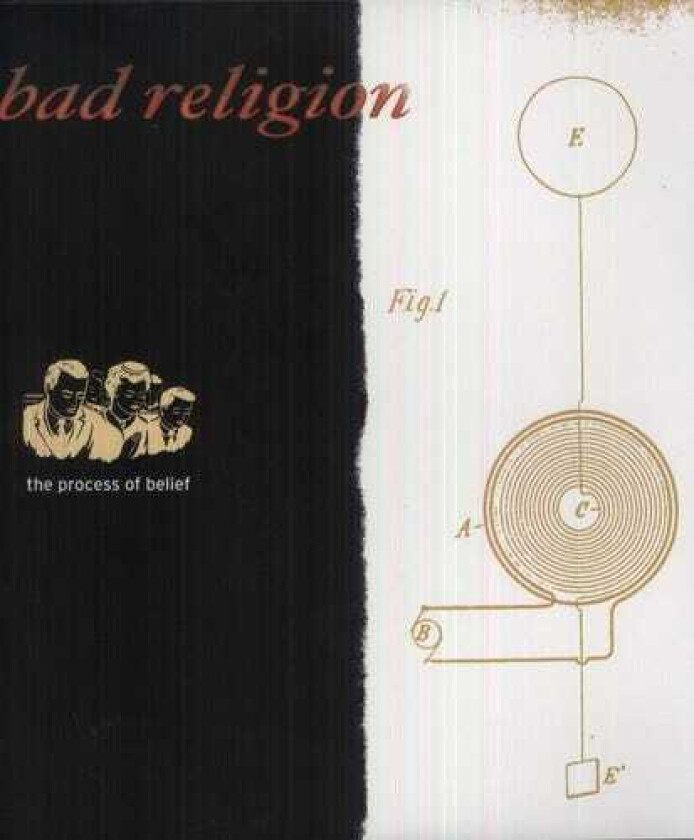 Bad Religion Process Of Belief LP/Vinyl