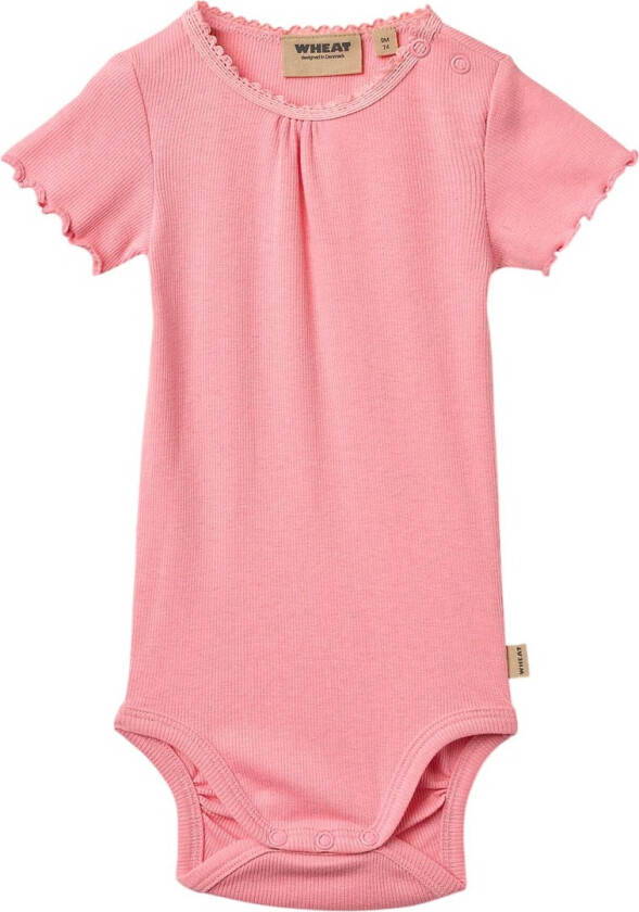 Body k/e - Rib - Edna - Tyggegummi - - 74 - Kortermet body