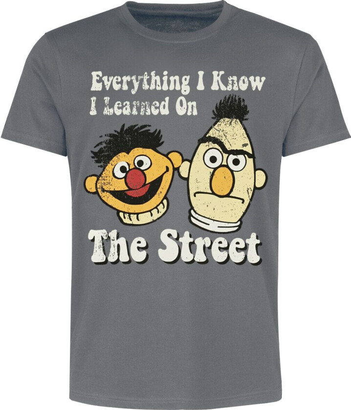 T-skjorte - Ernie und Bert - Everything I Know I Learned On The Street - S til 3XL - Herrer - flerfarget