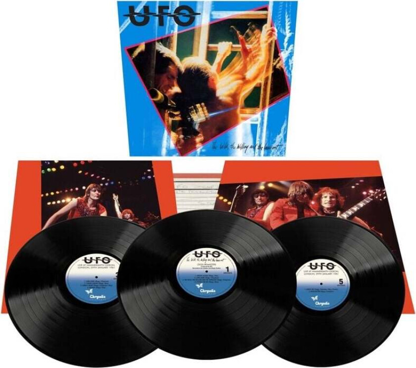 LP - The wild, the willing and the innocent - None - standard