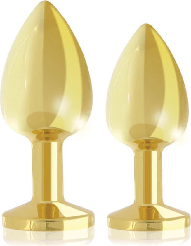 RS - Booty Plug Luxury Set Gold
