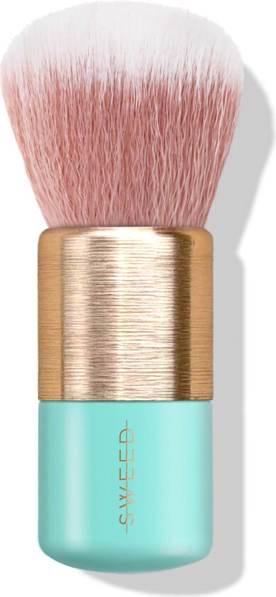 Kabuki Brush