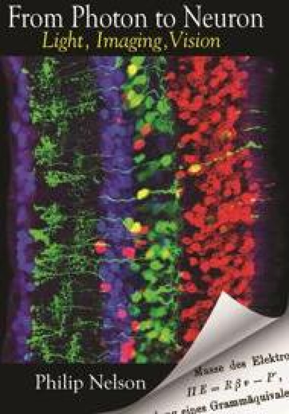 From Photon to Neuron