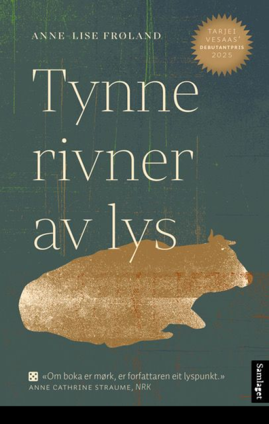 Tynne rivner av lys