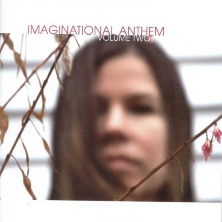 Diverse Artister Imaginational Anthem 2 CD