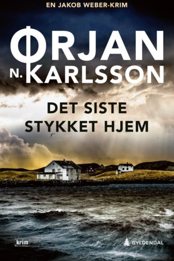 Det siste stykket hjem av Ørjan N. Karlsson