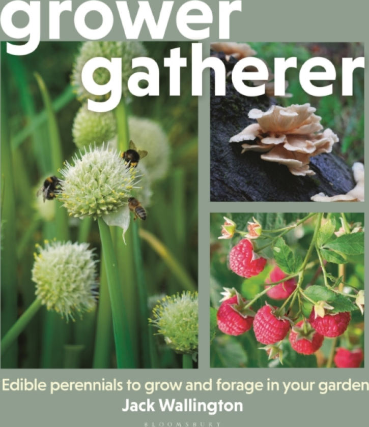 GrowerGatherer Edible perennials to grow and forage in your garden