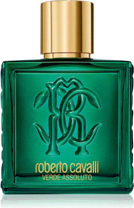 Roberto cavalli Verde Assoluto Pour Homme - Eau De Parfum 100 ml