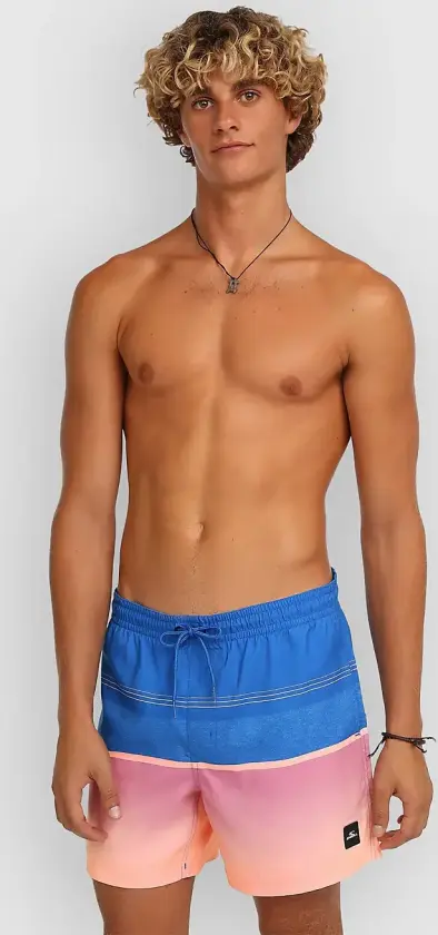 Gradient 15'' Boardshorts blå