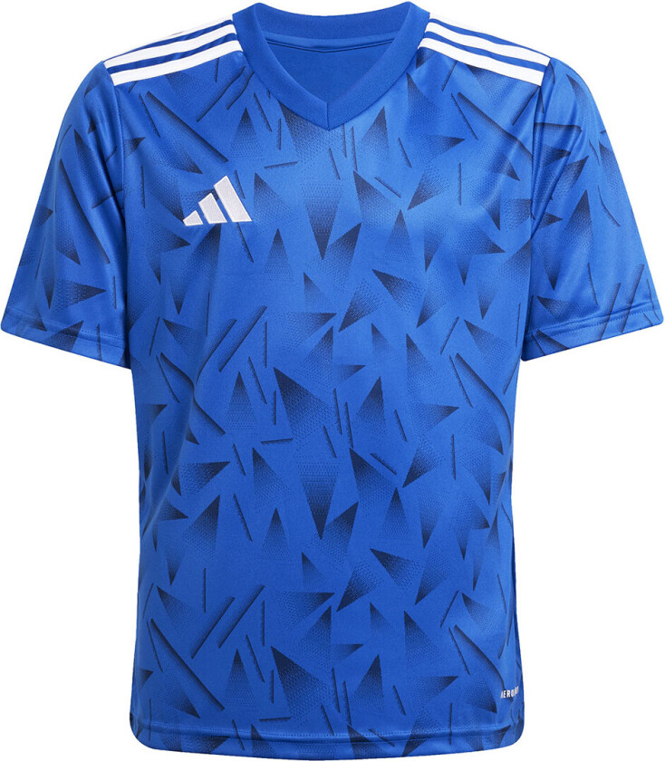 Spillerdrakt Team Icon 25 - Blå/Hvit Barn, størrelse 140 cm