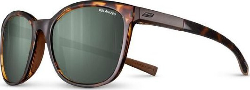 Spark Spectron 3 Polarized brown