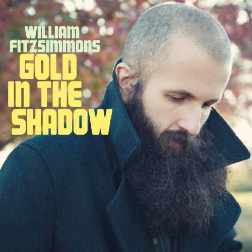 William Fitzsimmons Gold In The Shadow LP/Vinyl