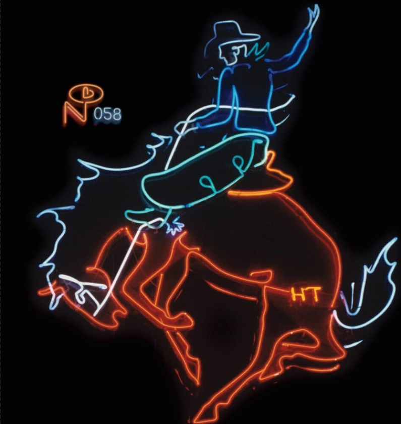 Diverse Artister Wayfaring Strangers: Cosmic American Music LP/Vinyl