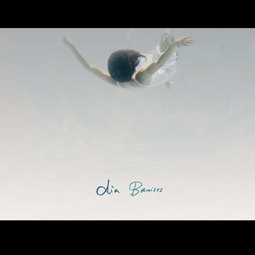 Dia Frampton Bruises CD