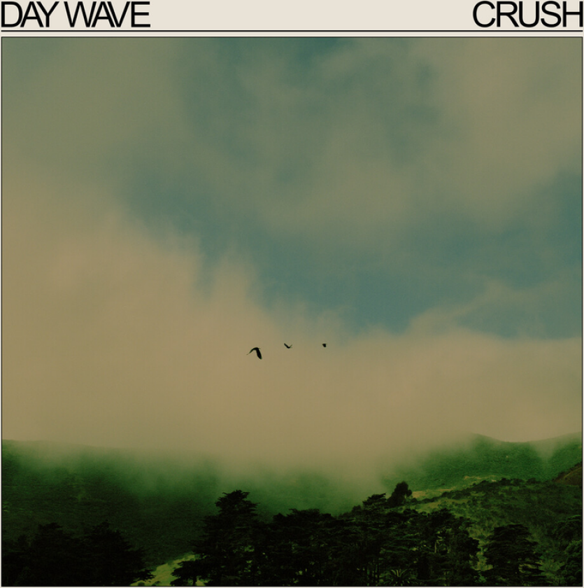 Day Wave Crush LP/Vinyl