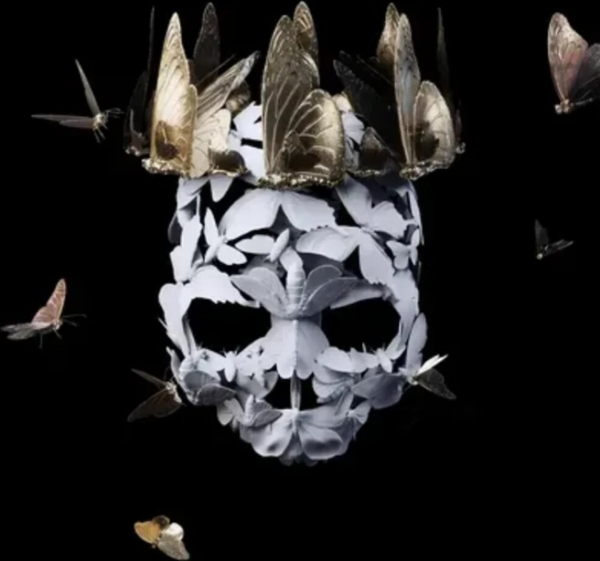 Princess Goes Come Of Age LP/Vinyl