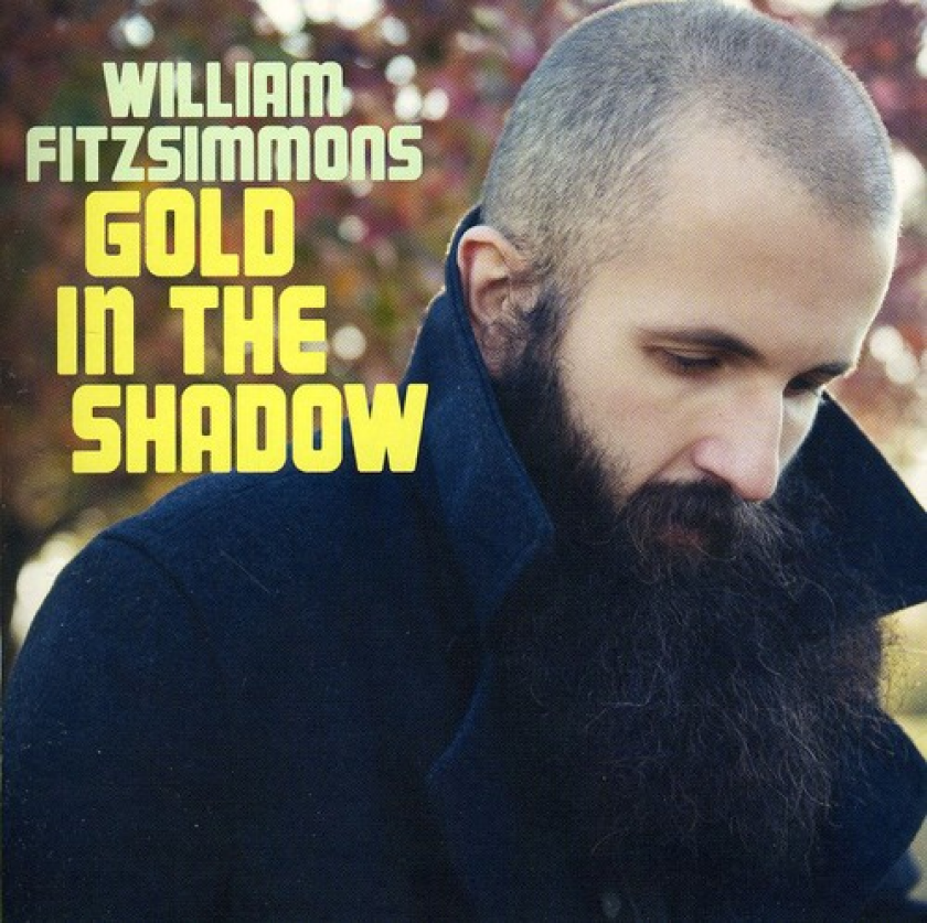 William Fitzsimmons Gold In The Shadow CD