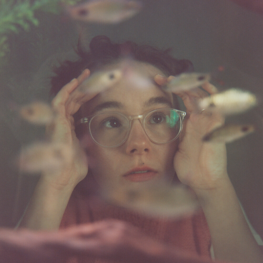 Morgan HarperJones Up To The Glass LP/Vinyl