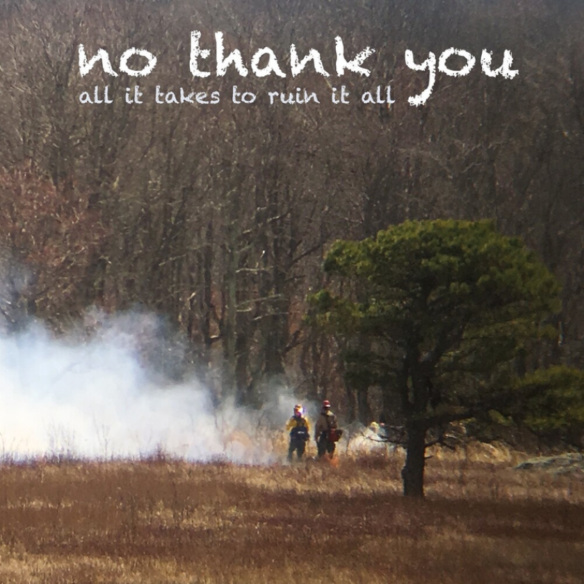 No Thank You All It Takes To Ruin It All CD