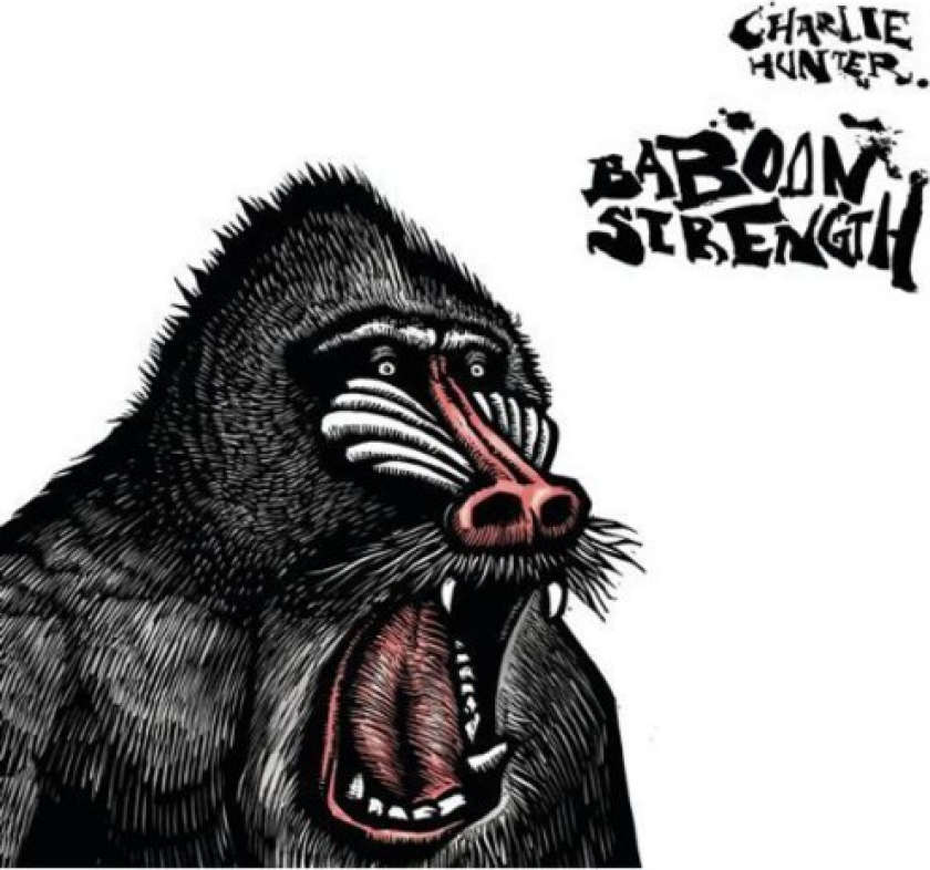 Charlie Hunter Baboon Strength CD