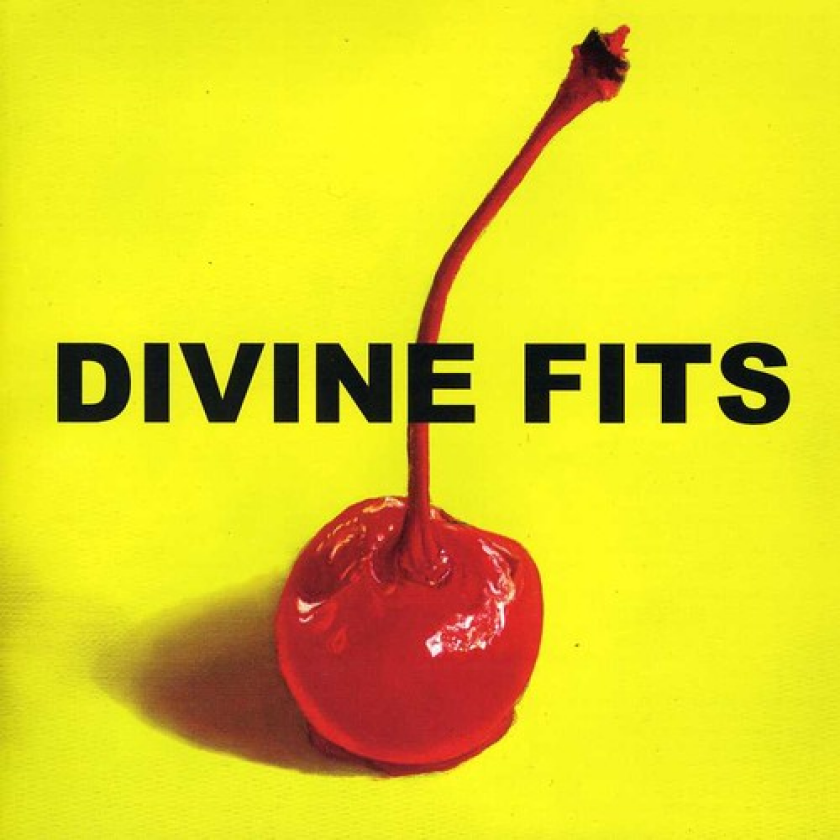 Divine Fits A Thing Called Divine Fits CD
