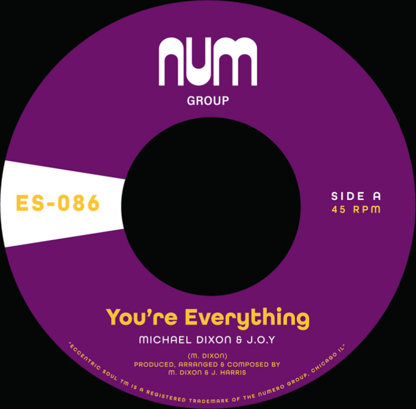 MICHAEL DIXON You're Everything B/W You're All I Need LP/Vinyl