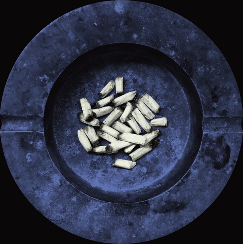 Laura Jane Grace Stay Alive LP/Vinyl