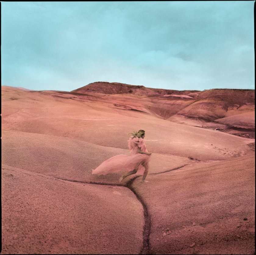 Margo Price Strays CD