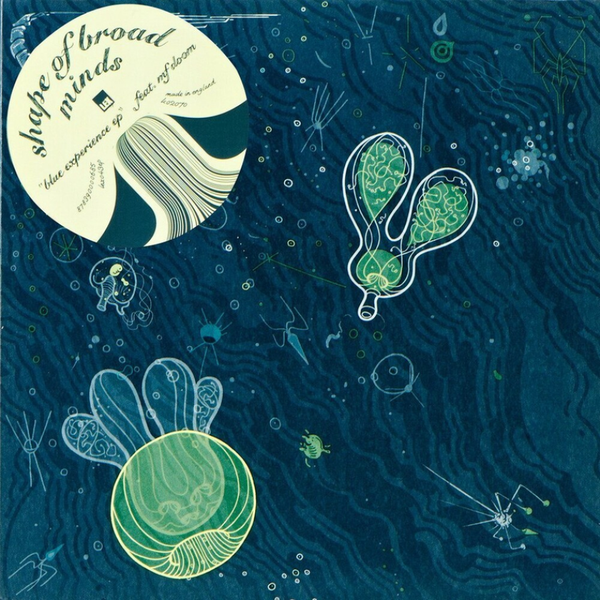 Shape Of Broad Minds Blue Experience CD