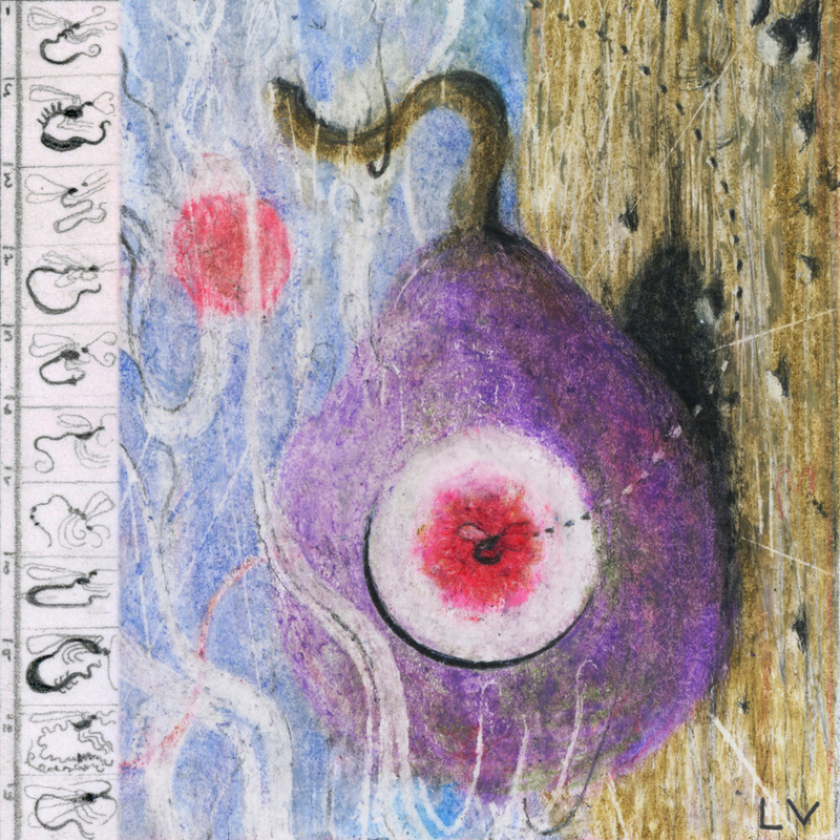 Lunar Vacation Inside Every Fig Is A Dead Wasp CD