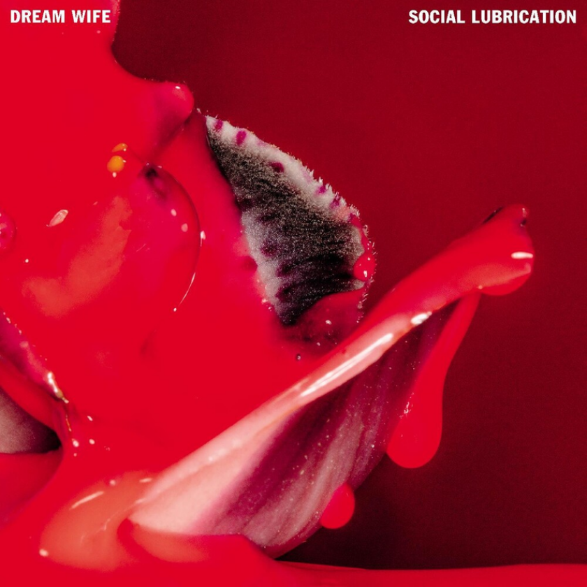 Dream Wife Social Lubrication LP/Vinyl