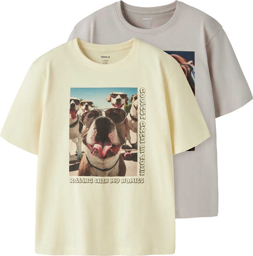 T-skjorte - 2-pack - NkmVoto - Pear Sorbet/Slottgrå - - 11-12 år (146-152) - T-skjorte