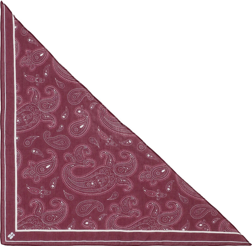 Paisley Triangle Scarf - Burgundy - ONE SIZE