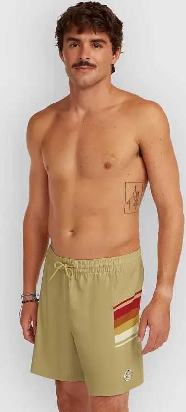 O'Riginals Side Panel 16" Boardshorts