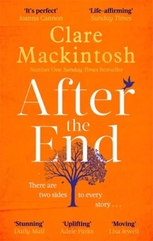 After the End av Clare Mackintosh