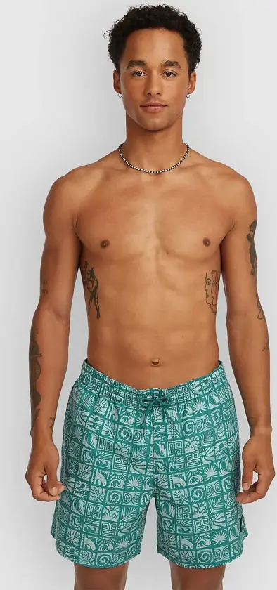 Print 16'' Boardshorts blå