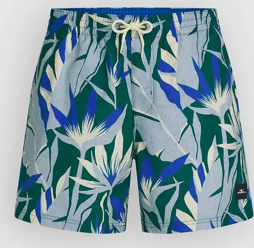 Print 16'' Boardshorts blå