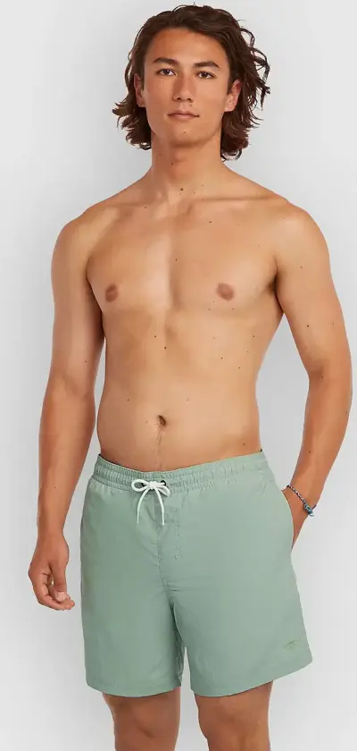 Vert 16'' Boardshorts grå