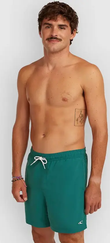 Vert 16'' Boardshorts grønn