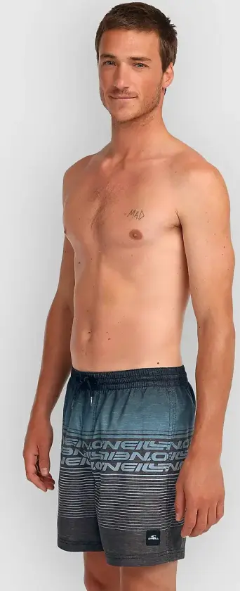 Logo Stripe 16'' Boardshorts svart