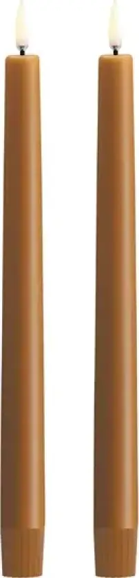 TAPER LED-stearinlys, 2 stk., vill honning, høyde 25 cm