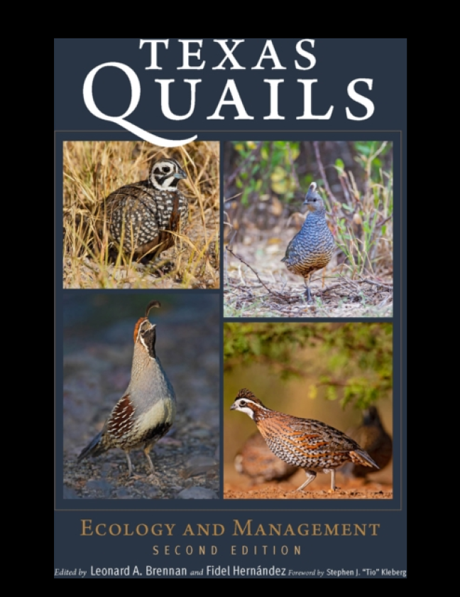 Texas Quails Ecology and Management